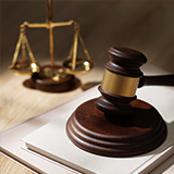 풍부한 성공사례